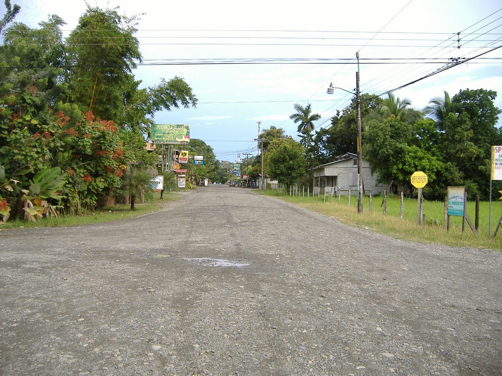 Кауита, Лимон провинция, Коста-Рика, фото № 40050 – фотографии Коста-Рики