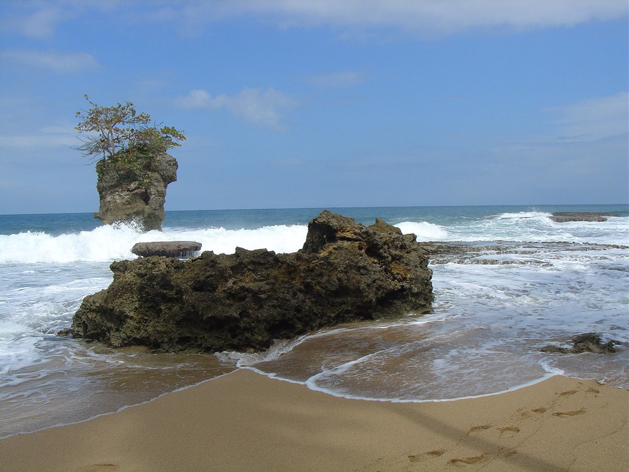 Манзанилло, Лимон провинция, Коста-Рика, фото № 40126 – фотографии Коста-Рики