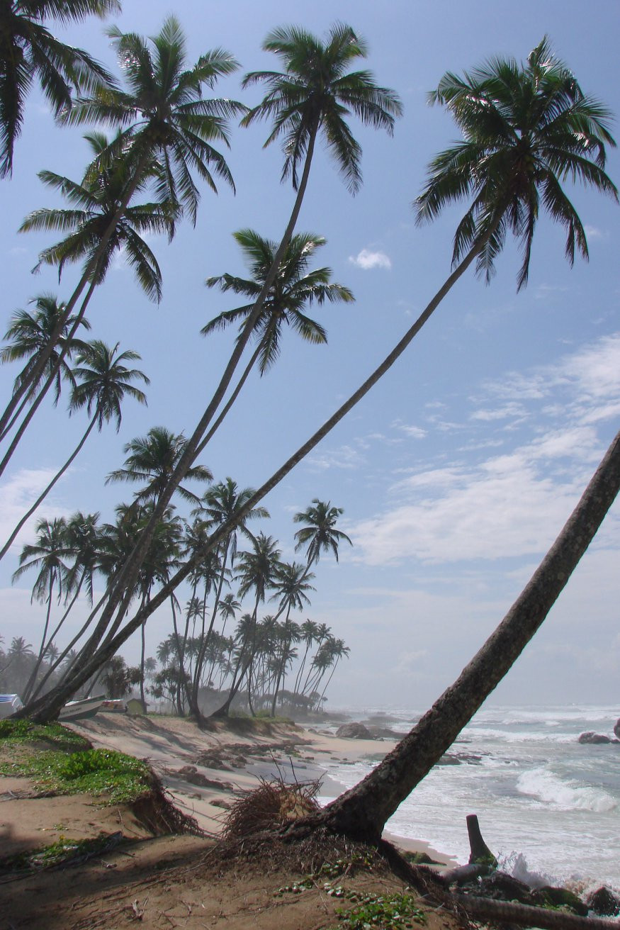 Коггала, Шри-Ланка, фото № 51551 – фотографии Шри-Ланки
