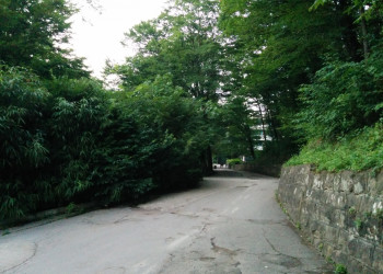 В поселке Южный, июль 2014. Фото 2 – фотографии России