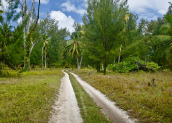 Природа острова Десрочес – фотографии Сейшельских островов