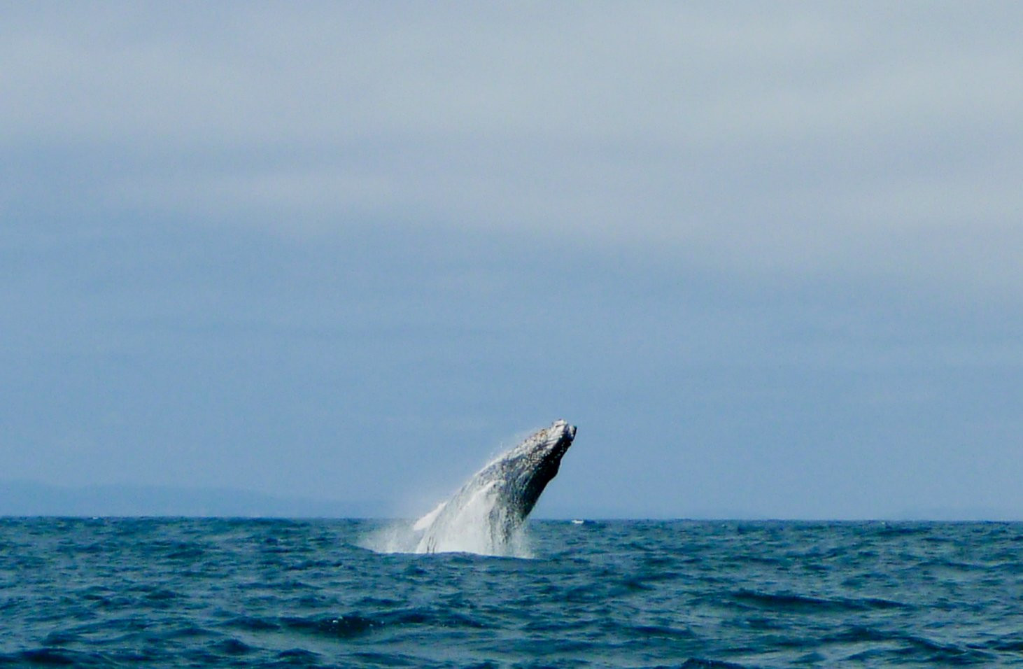 Галапагосские острова, Эквадор, фото № 68234 – фотографии Эквадора