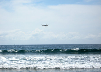 Плайя Гранде, Гуанакасте провинция, Коста-Рика, фото № 39458 – фотографии Коста-Рики