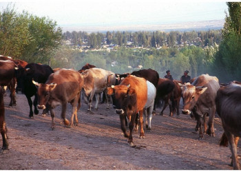 Kyrgyzstan – фотографии Киргизии