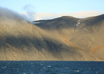 Остров Врангеля, Чукотка, Россия. Фото 1 – фотографии России