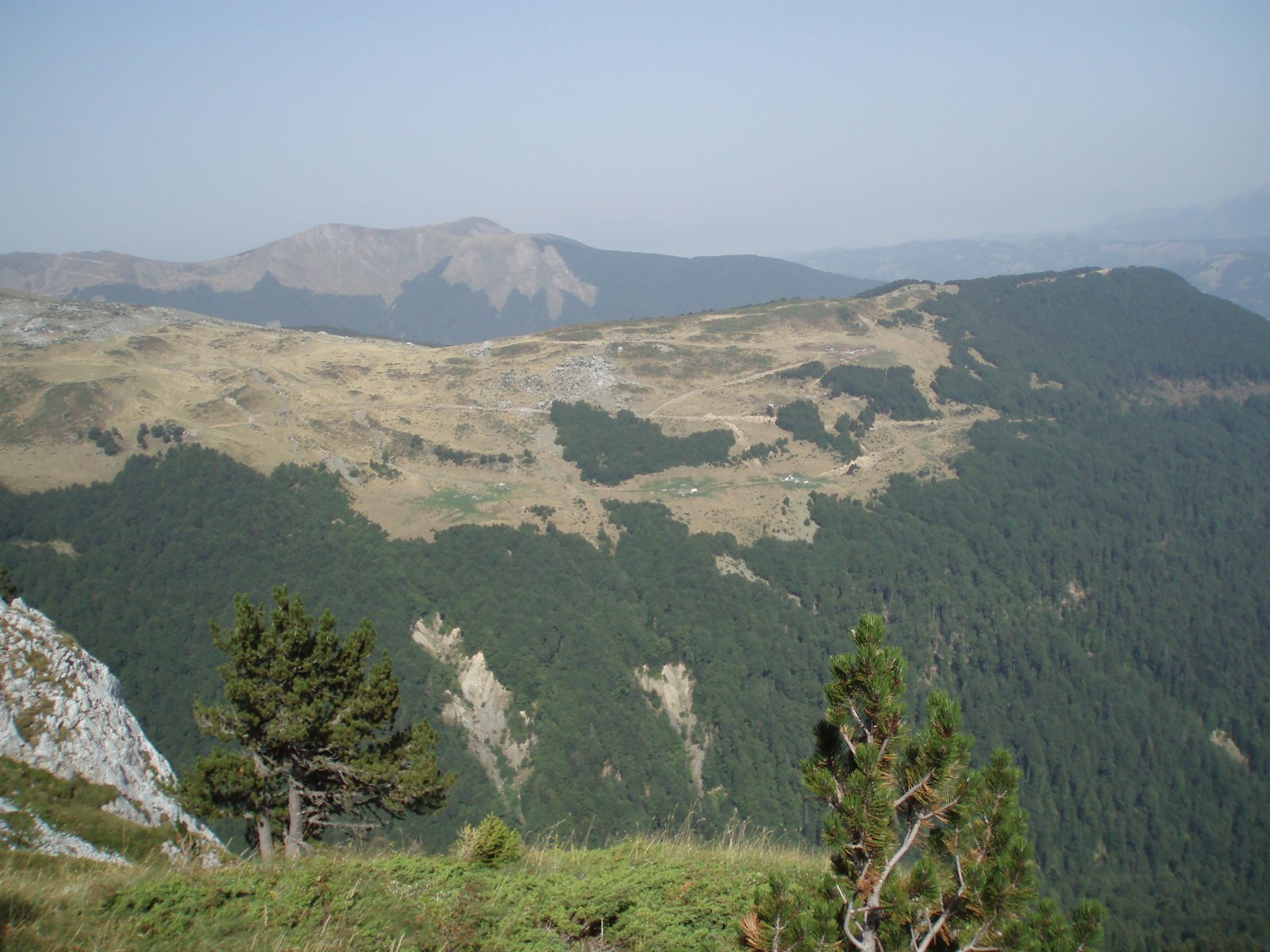 Биоградская гора, Черногория. Фото 12 – фотографии Черногории