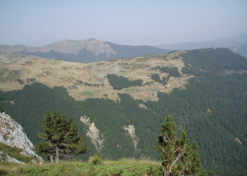 Биоградская гора, Черногория. Фото 12 – фотографии Черногории