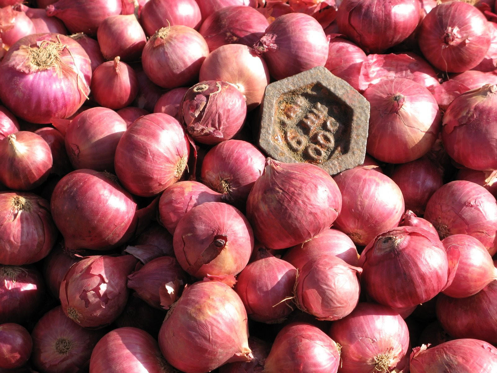 Пунакха, Бутан, фото № 75802 – фотографии Бутана