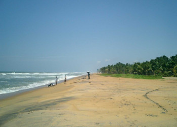 Ваддува, Шри-Ланка, фото № 50767 – фотографии Шри-Ланки