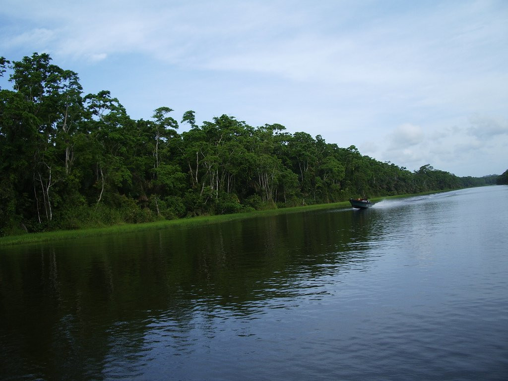 Тортугеро Национальный парк, Лимон провинция, Коста-Рика, фото № 40341 – фотографии Коста-Рики