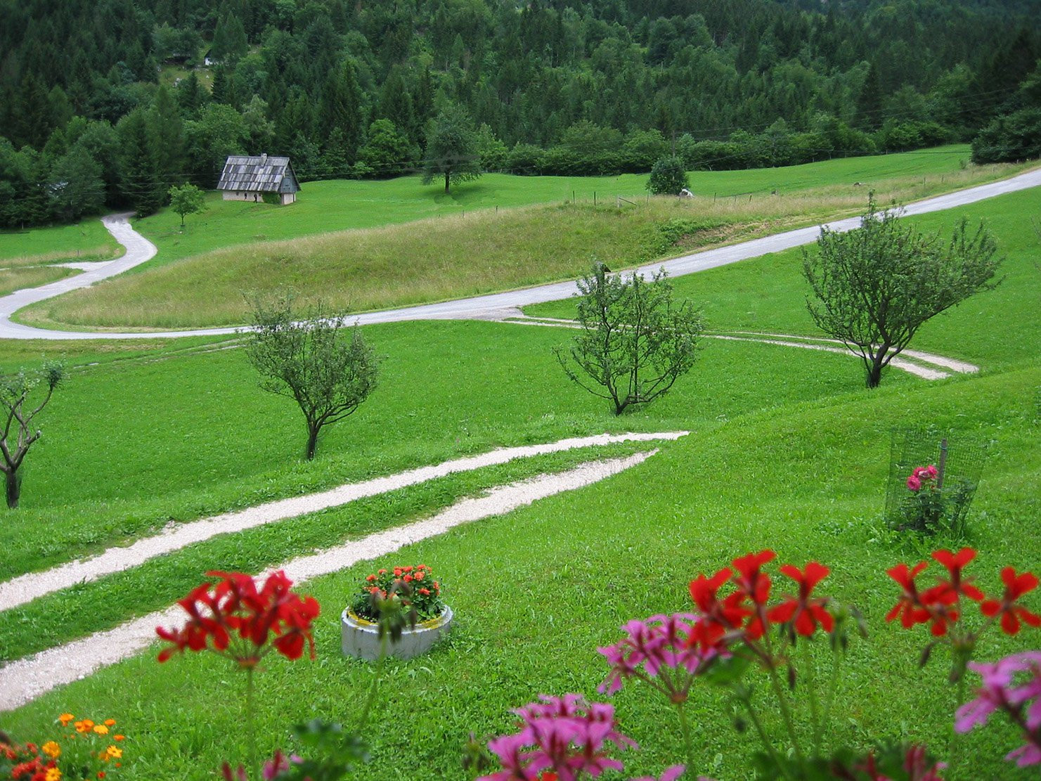 Словения, фото № 1315 – фотографии Словении