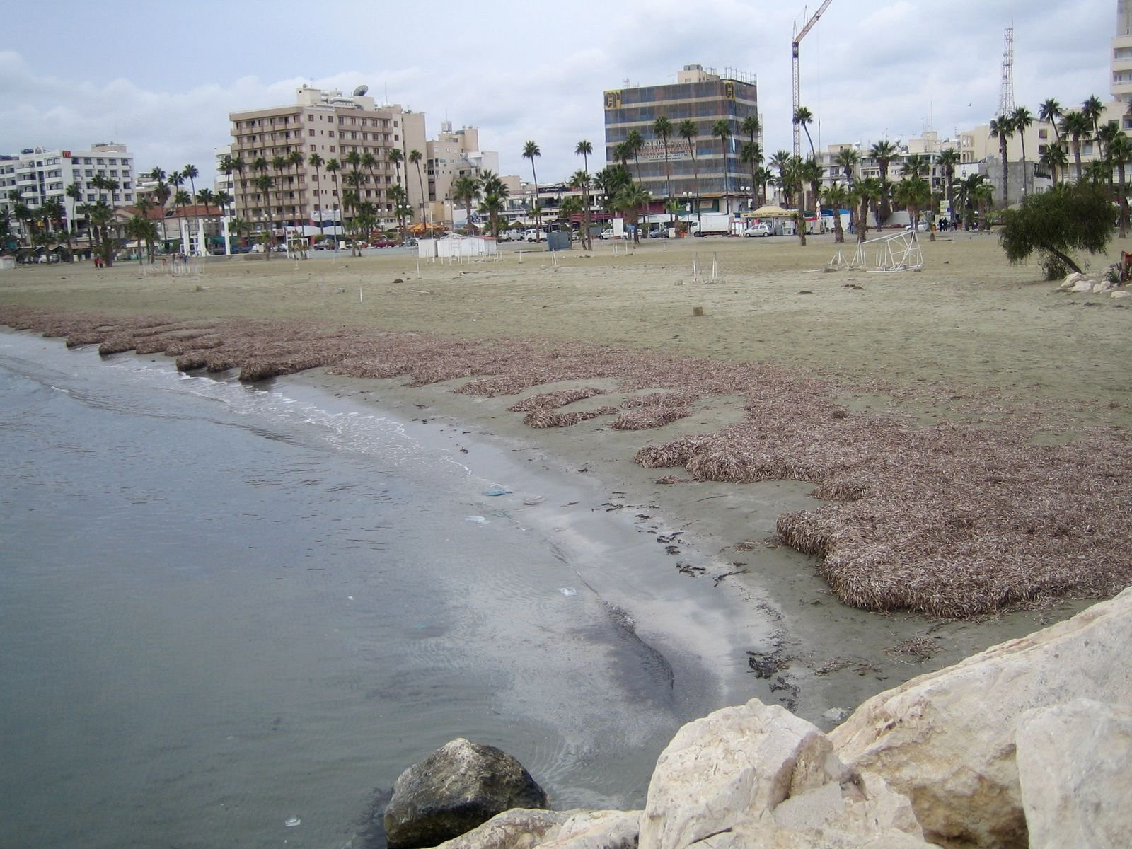 Ларнака, Кипр, фото № 38010 – фотографии Кипра