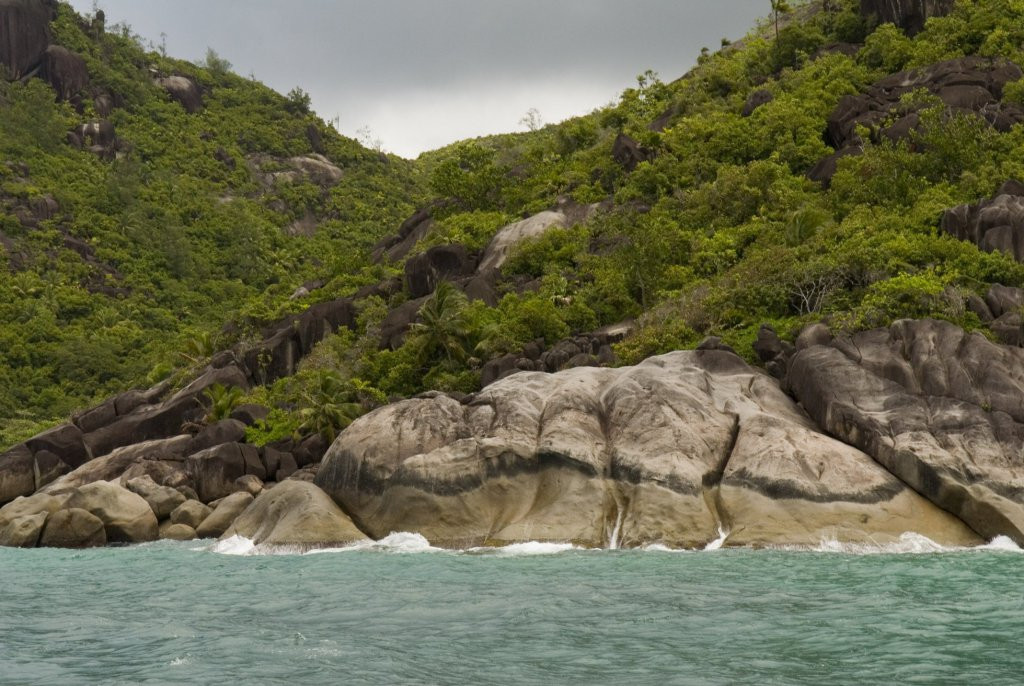 Природа на острове Маэ, Сейшелы. Фото 3 – фотографии Сейшельских островов