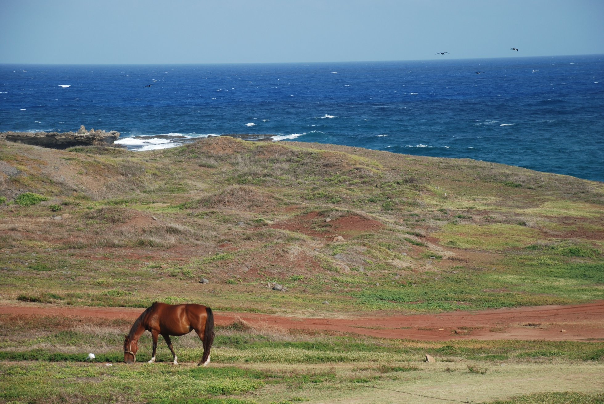 Фернанду-ди-Норонья, Бразилия, фото № 60433 – фотографии Бразилии