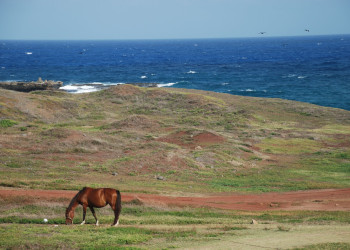 Фернанду-ди-Норонья, Бразилия, фото № 60433 – фотографии Бразилии
