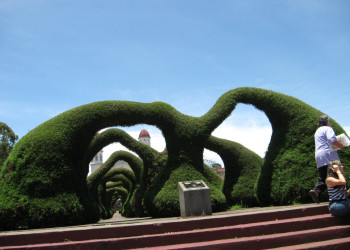 Циудад Куэсада, Алахуэла провинция, Коста-Рика, фото № 39064 – фотографии Коста-Рики