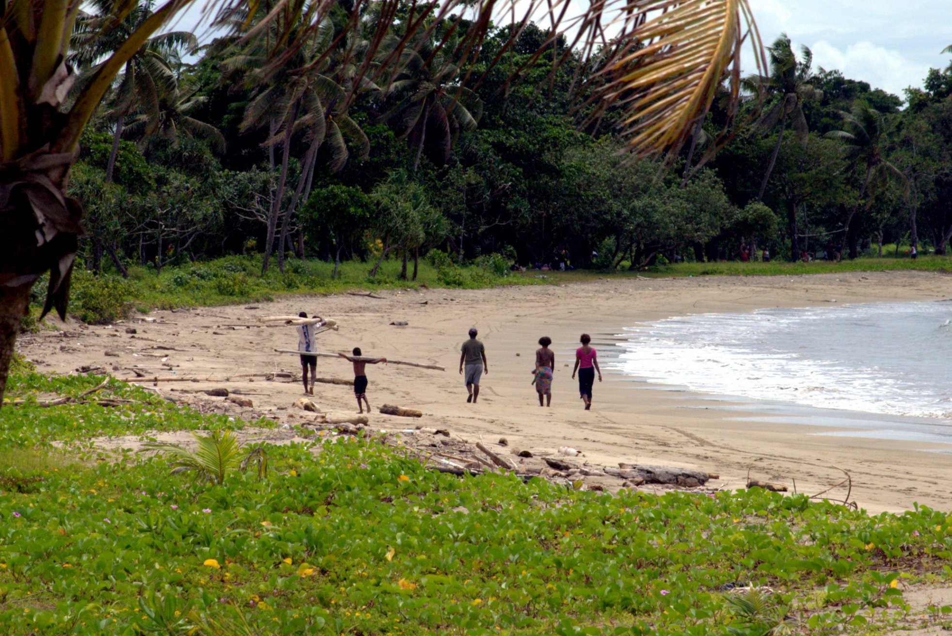 Пацифик Харбор, Вити Леву остров, Вити Леву группа островов, Фиджи, фото № 49585 – фотографии Фиджи