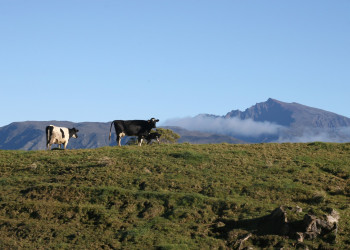 Реюньон, фото № 361 – фотографии Реюньона