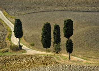 Тоскана, Италия, фото № 77953 – фотографии Италии