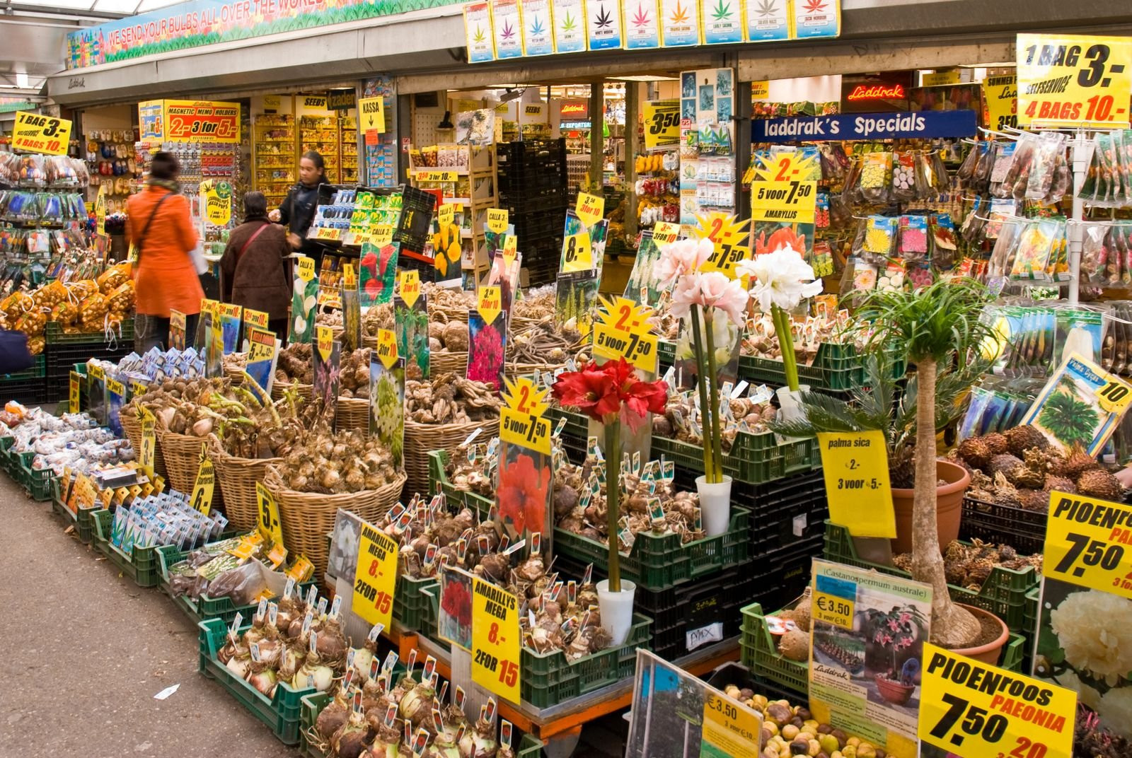 Amsterdam – фотографии Нидерландов