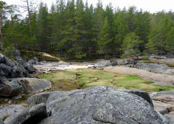 Природа острова Кий, Россия. Фото 11 – фотографии России