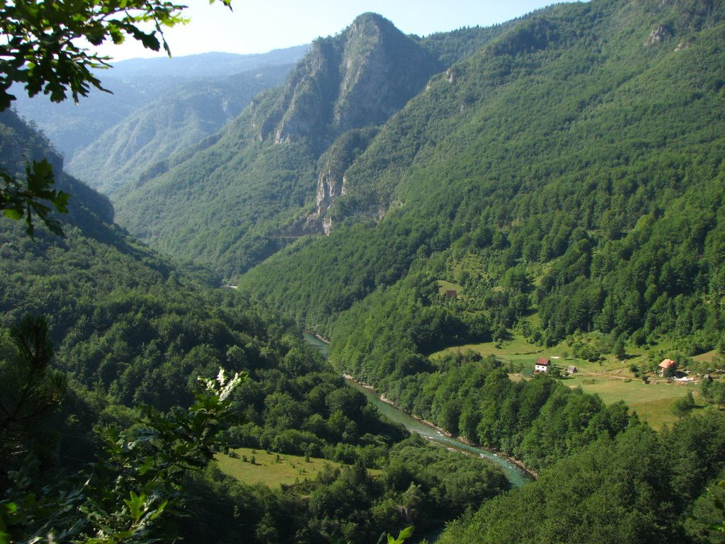 Тара Каньон – фотографии Черногории