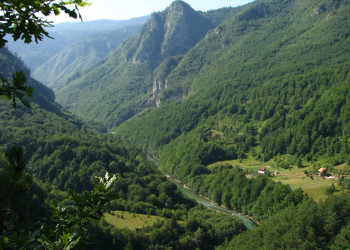 Тара Каньон – фотографии Черногории