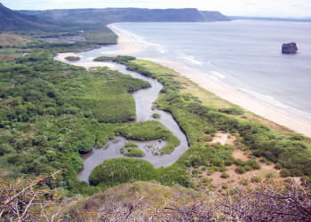 Санта Роза Национальный Парк, Гуанакасте провинция, Коста-Рика, фото № 39335 – фотографии Коста-Рики