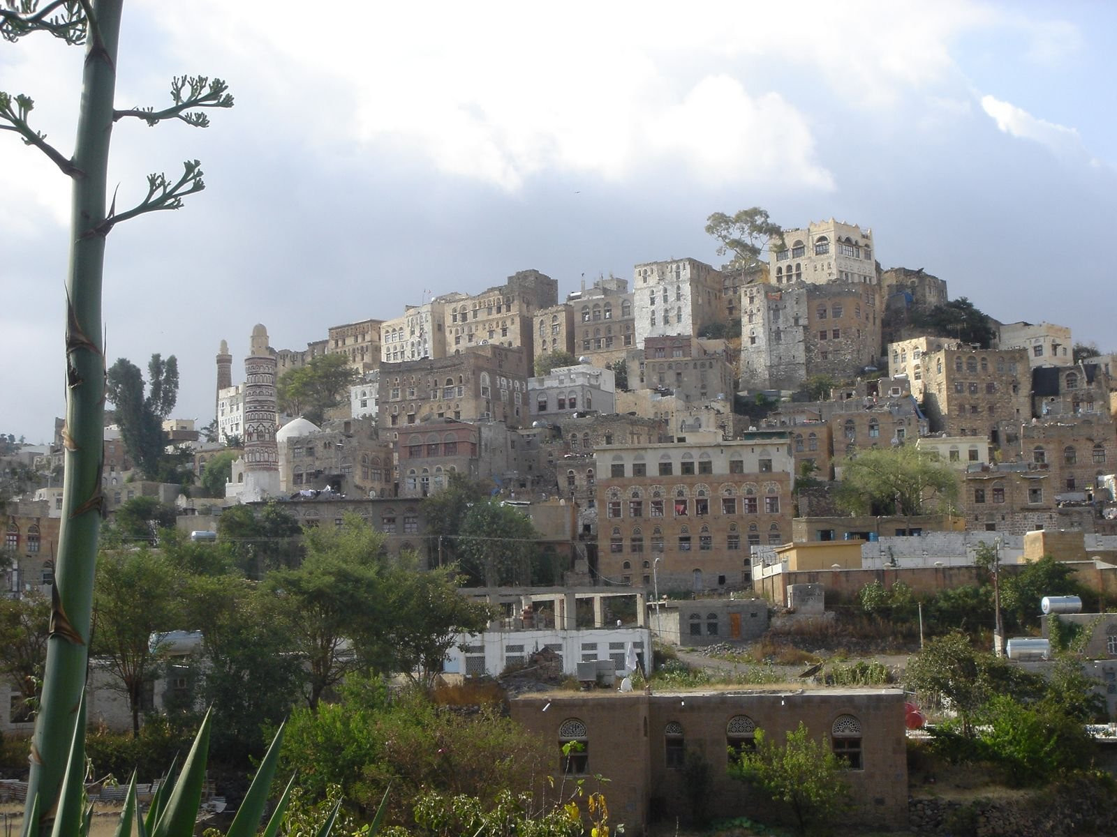 Йемен, фото № 4911 – фотографии Йемена