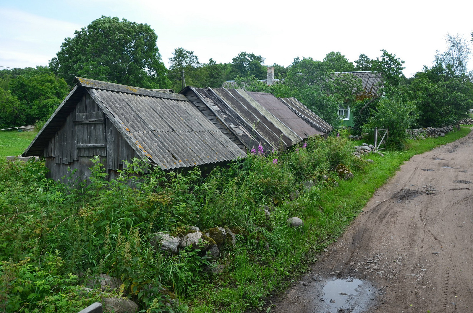 Остров Прангли (Эстония) – фотографии Эстонии