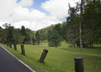 Ботанический сад Eka Karya Botanic Garden. Фото 1 – фотографии Индонезии