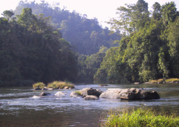 Китулгала, Шри-Ланка, фото № 51483 – фотографии Шри-Ланки