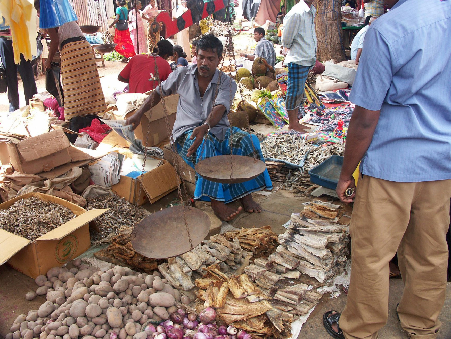 Дамбулла, Шри-Ланка, фото № 51073 – фотографии Шри-Ланки