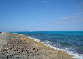Берег на острове Абако, Багамские острова. Фото 1 – фотографии Багамских островов