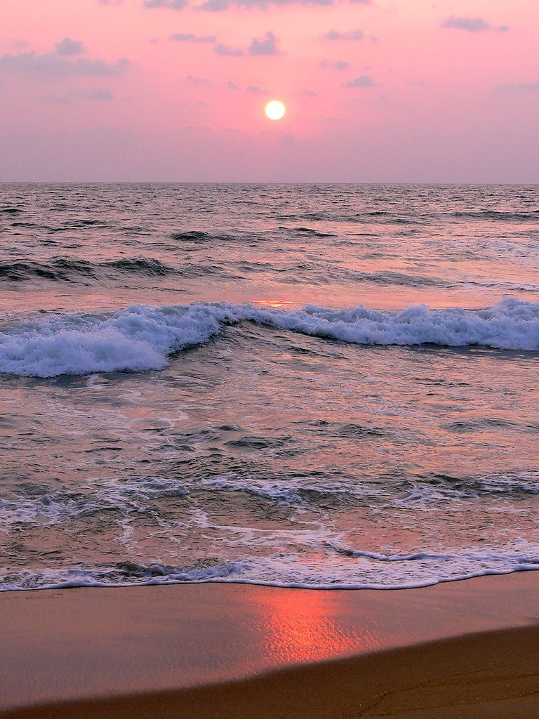 Ваддува, Шри-Ланка, фото № 50794 – фотографии Шри-Ланки