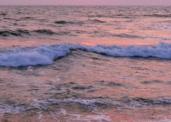 Ваддува, Шри-Ланка, фото № 50794 – фотографии Шри-Ланки