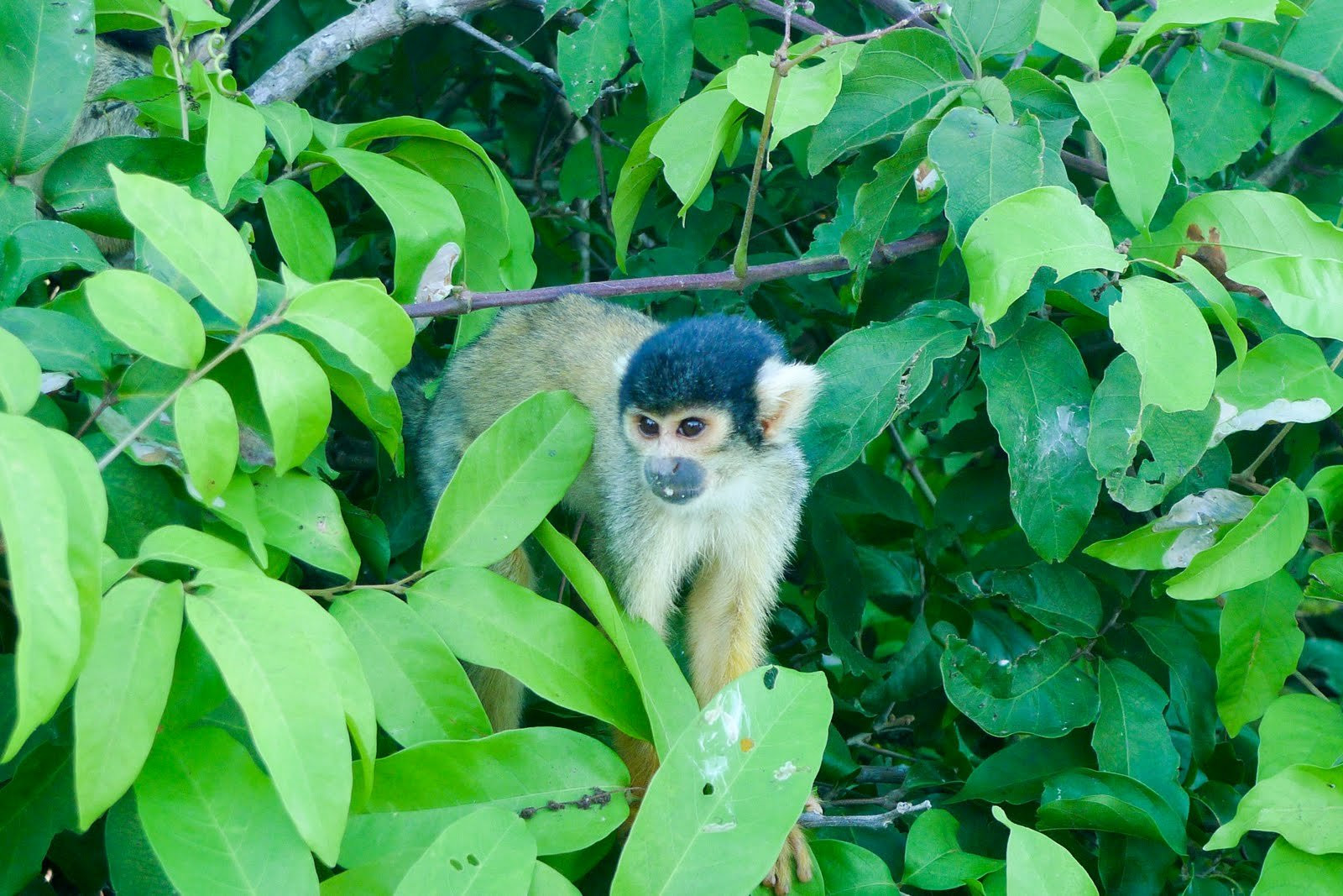 Боливия, фото № 2975 – фотографии Боливии