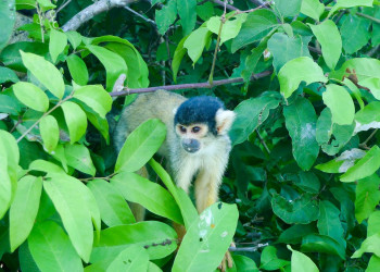 Боливия, фото № 2975 – фотографии Боливии