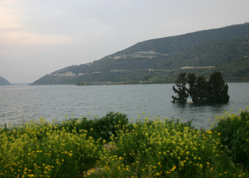 Какопетрия, Кипр, фото № 37628 – фотографии Кипра