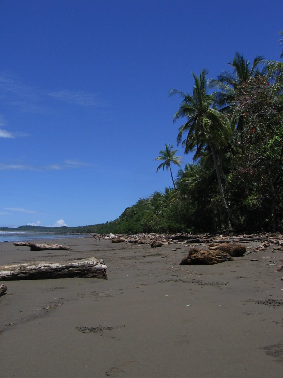 Плайя Увита, Пунтаренас провинция, Коста-Рика, фото № 40962 – фотографии Коста-Рики