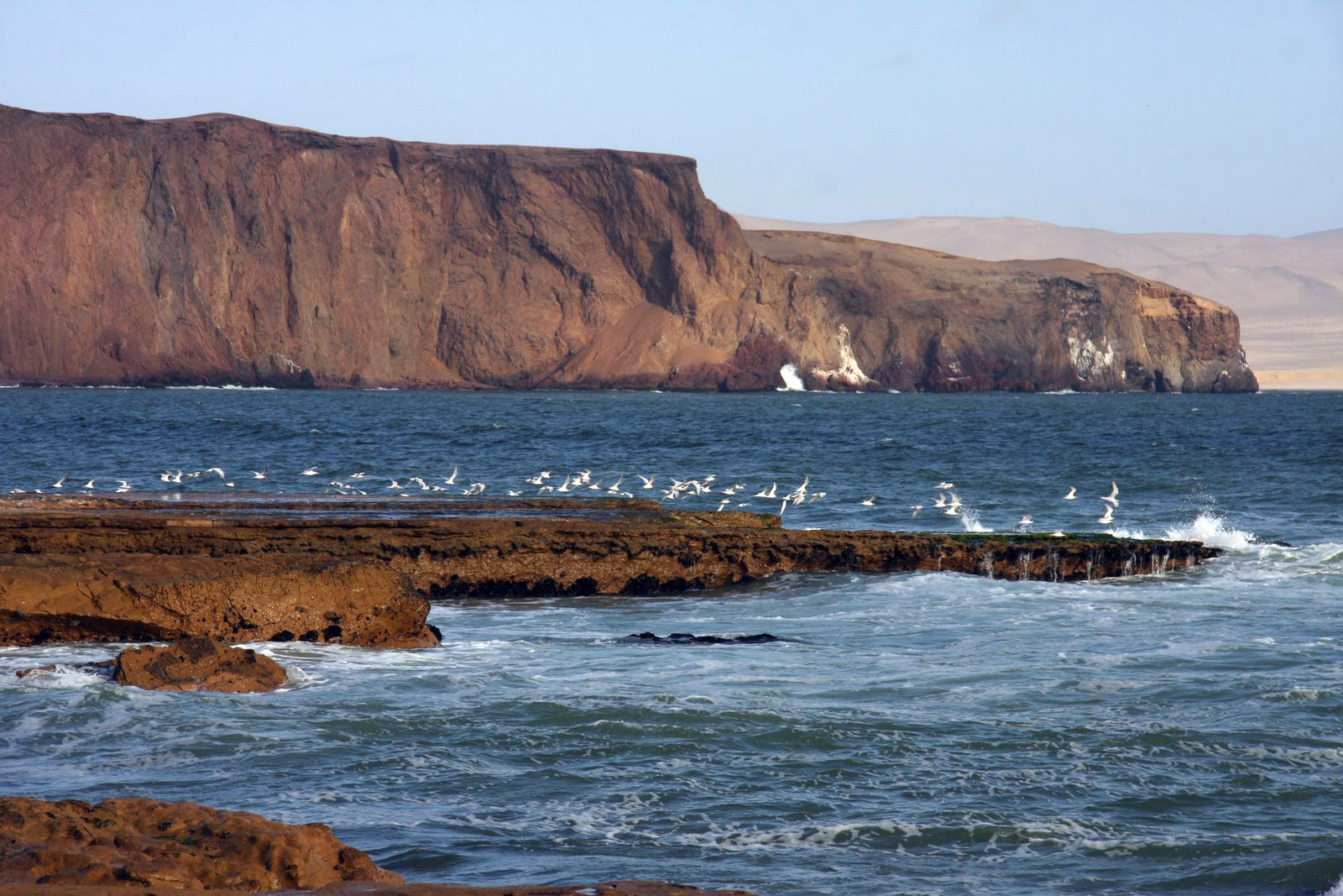 Скалистые пейзажи в заповеднике Паракас, Перу – фотографии Перу