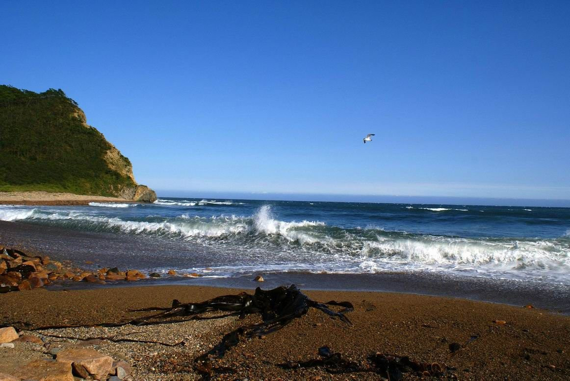 Пляж в Лазовском заповеднике, Россия. Фото 3 – фотографии России