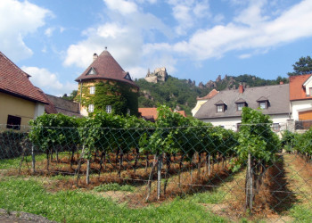 Дюрнштайн (Dürnstein) – фотографии Австрии