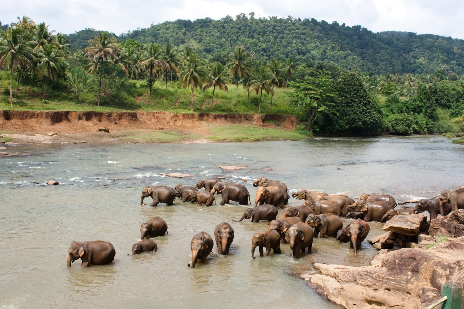 Шри-Ланка. Фото 3 – фотографии Шри-Ланки