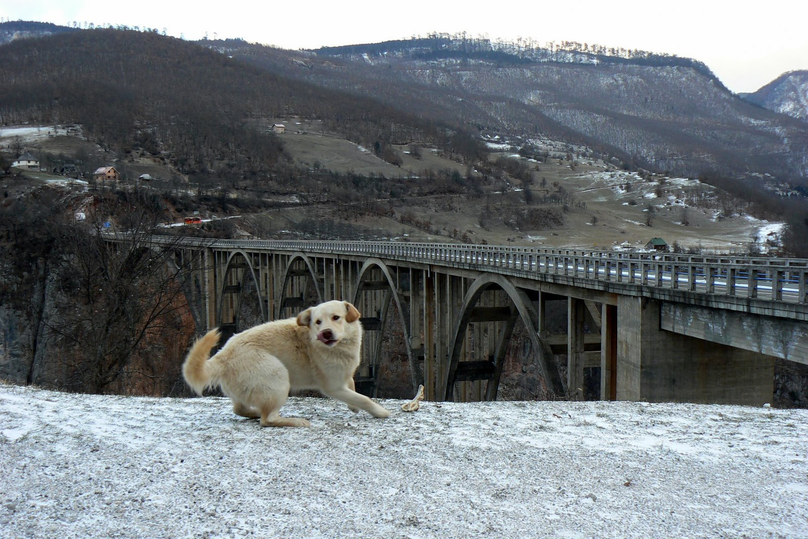 Тара Каньон – фотографии Черногории