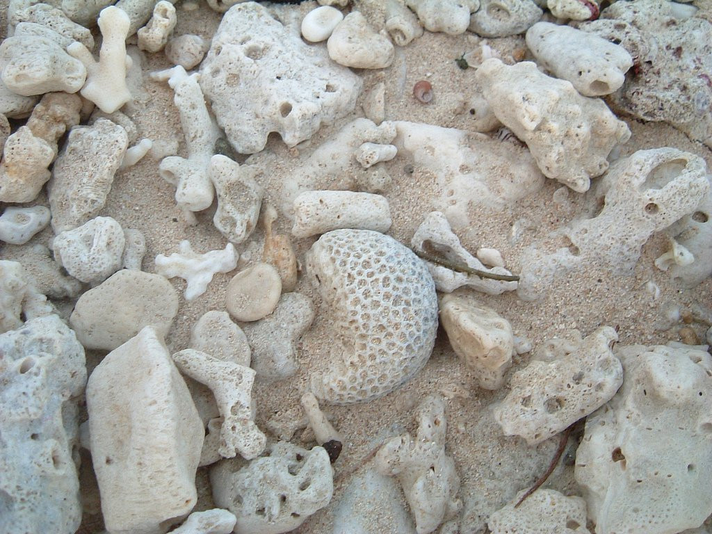 Сауф Си остров, Маманука группа островов, Фиджи, фото № 49084 – фотографии Фиджи