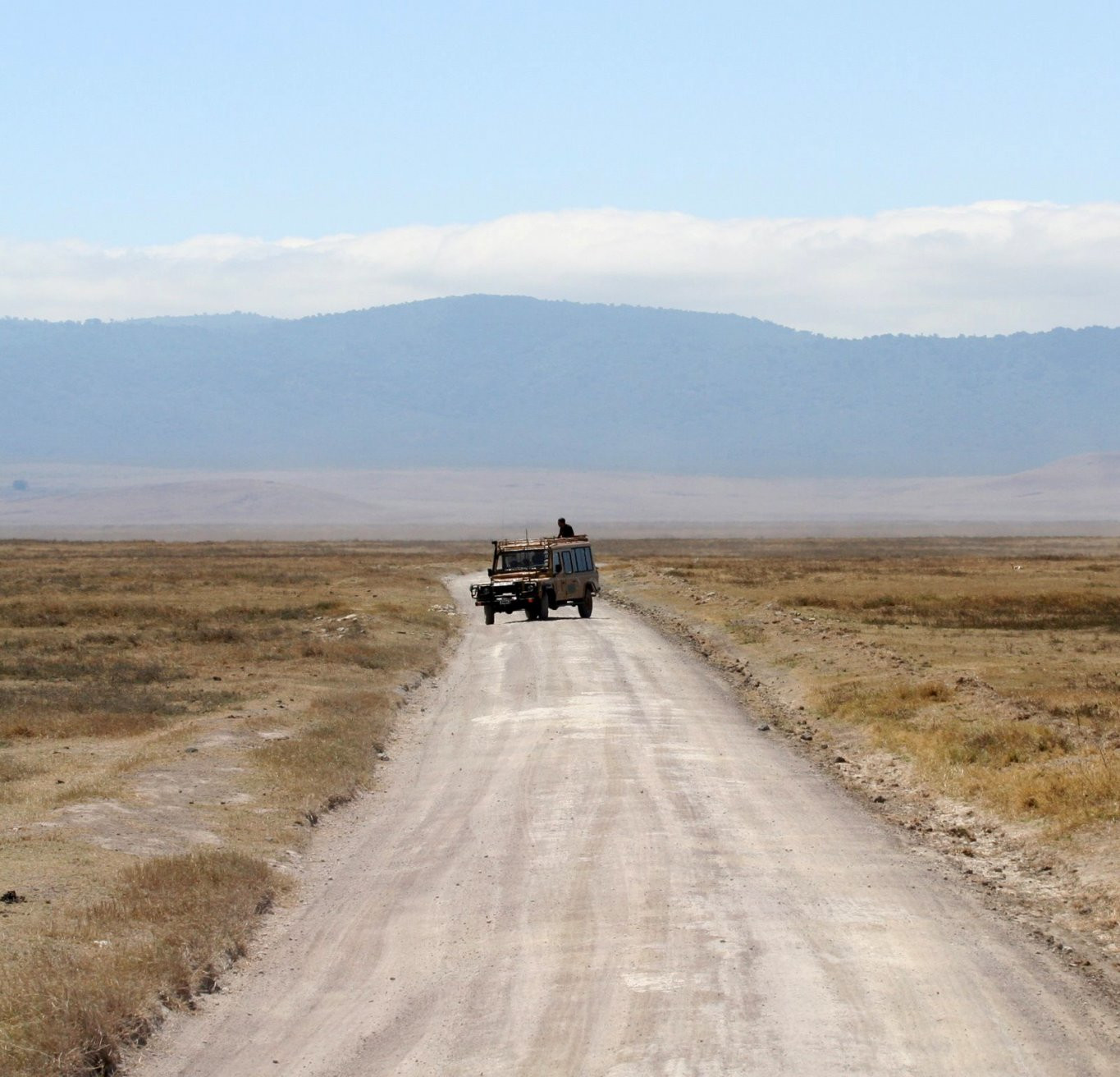Джип в национальном парке Танзании – фотографии Танзании
