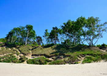 Куршская коса (Curonian Spit). Фото 1 – фотографии России