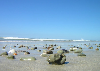 Плайя Джуионес, Гуанакасте провинция, Коста-Рика, фото № 39482 – фотографии Коста-Рики