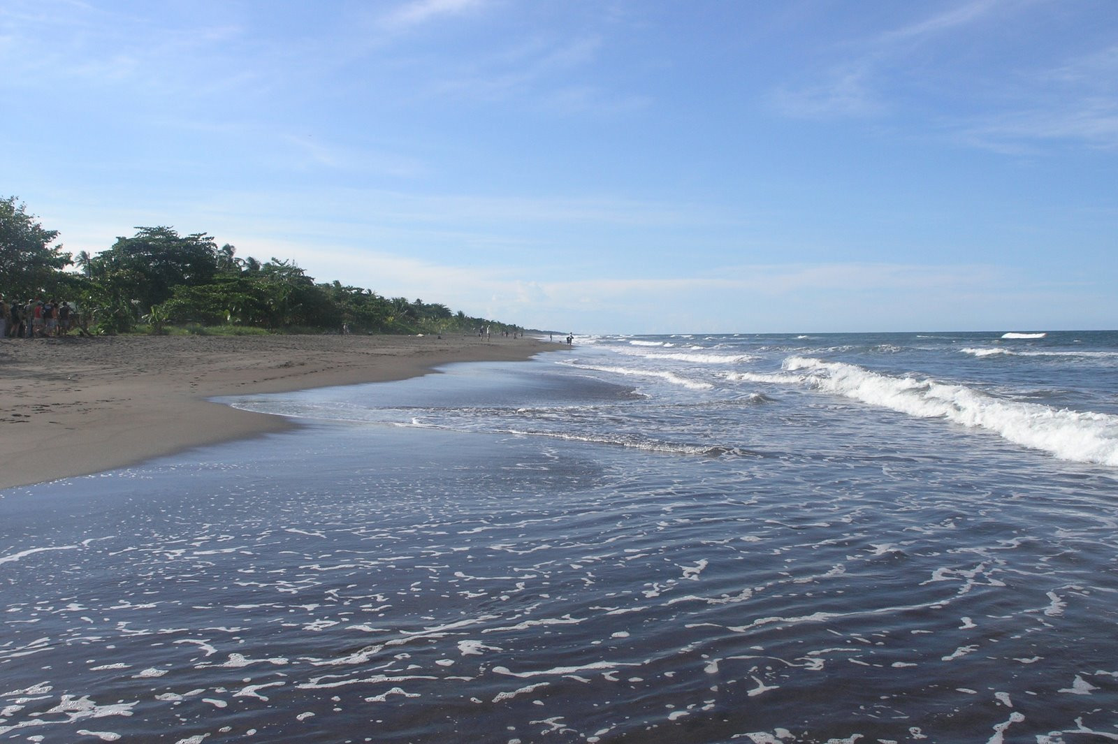 Тортугеро Национальный парк, Лимон провинция, Коста-Рика, фото № 40371 – фотографии Коста-Рики